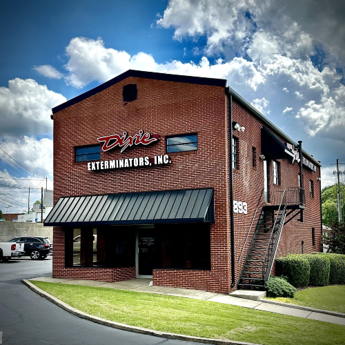 Dixie Exterminators Office