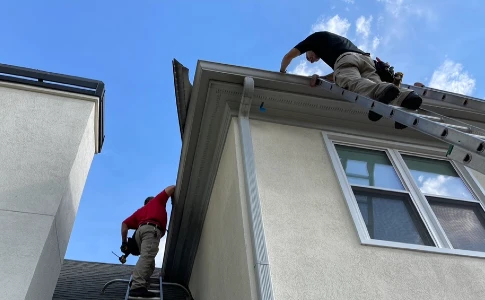 Wildlife removal service