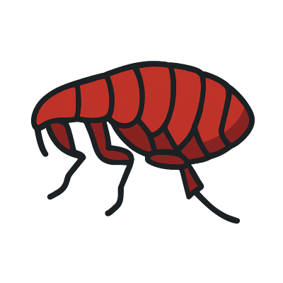 Flea treatment icon