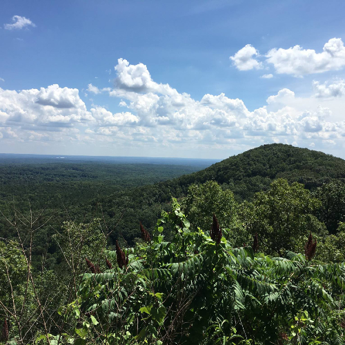 West Metro Atlanta Area