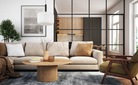Living room treated for indoor flea control